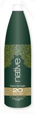 NATIVE OSSIGENO 20 VOL 1000 ML