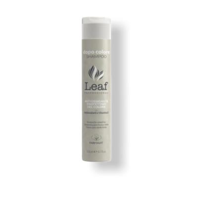 LEAF SHAMPOO DOPO COLORE 300 ML