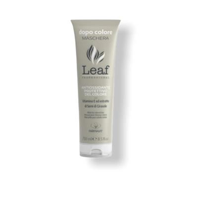 LEAF MASCHERA DOPO COLORE 250 ML